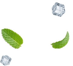 Wintergreen